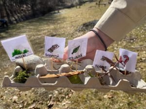 whatsapp image 2025 07 31 at 10.44.42