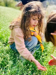 whatsapp image 2025 07 31 at 10.44.46 (1)