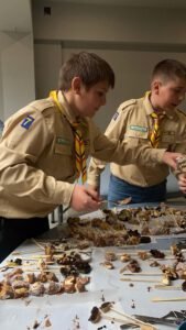 whatsapp image 2025 07 31 at 10.44.47 (3)