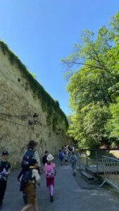 whatsapp image 2025 07 31 at 10.44.50 (3)