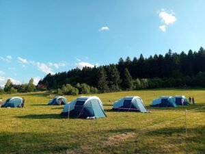 whatsapp image 2025 07 31 at 10.44.50 (4)