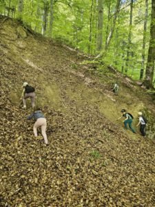 WhatsApp Image 2025-08-01 at 14.37.40