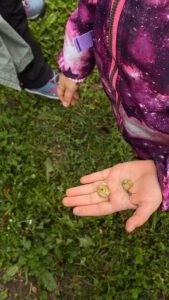 WhatsApp Image 2025-08-01 at 14.37.41 (2)