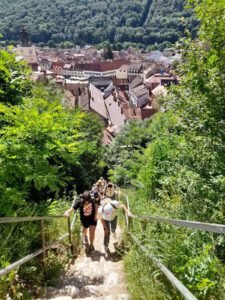 WhatsApp Image 2025-08-01 at 14.37.41 (4)