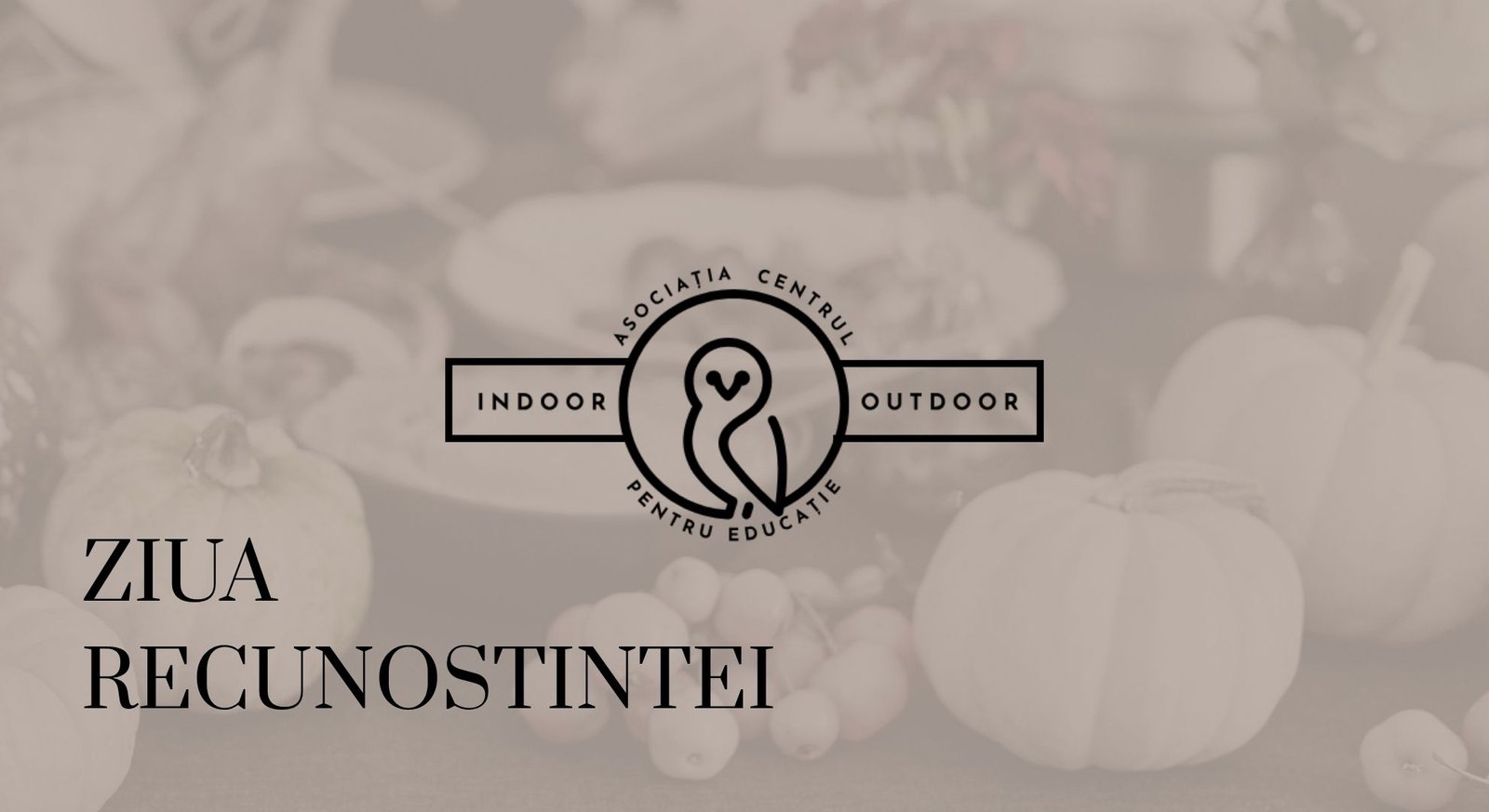 Copii, părinți și voluntari sărbătorind Thanksgiving la evenimentul educațional organizat de Asociația CPEIO.