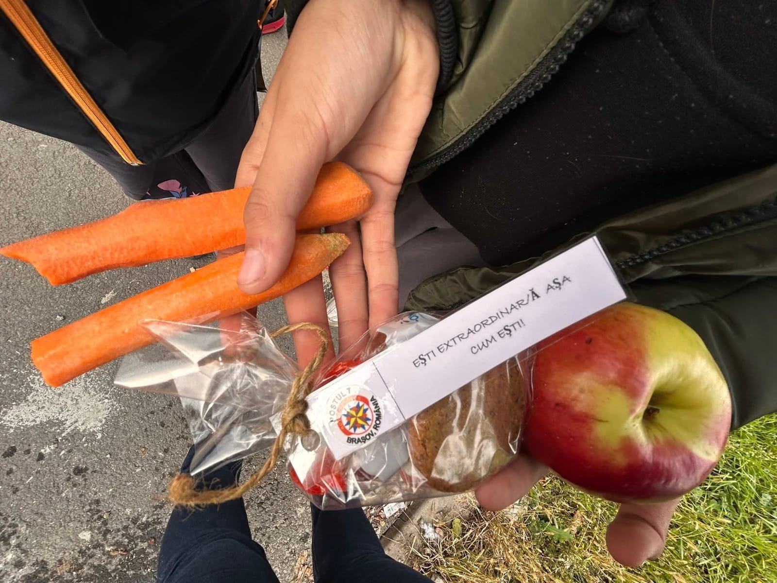 Morcovi, măr și pachet cu mesajul «Ești extraordinară așa cum ești» oferit în cadrul proiectului Recunoștință în Natură.