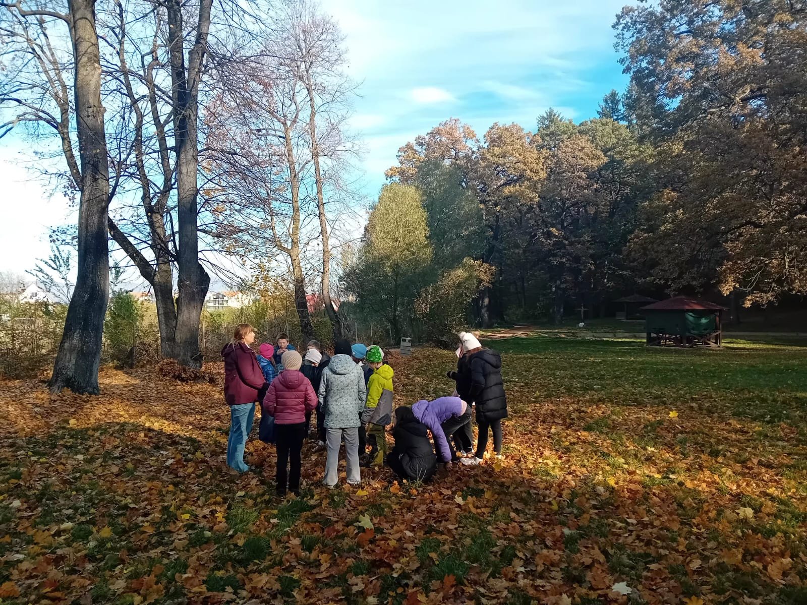 Elevi și facilitator ACPEIO adunați într-un colț de pădure, desfășurând activități educative de recunoștință și observare a naturii.