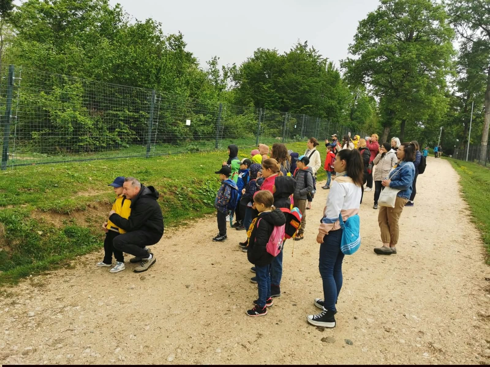 Cercetașii Royal Rangers pe aleea sanctuarului de urși